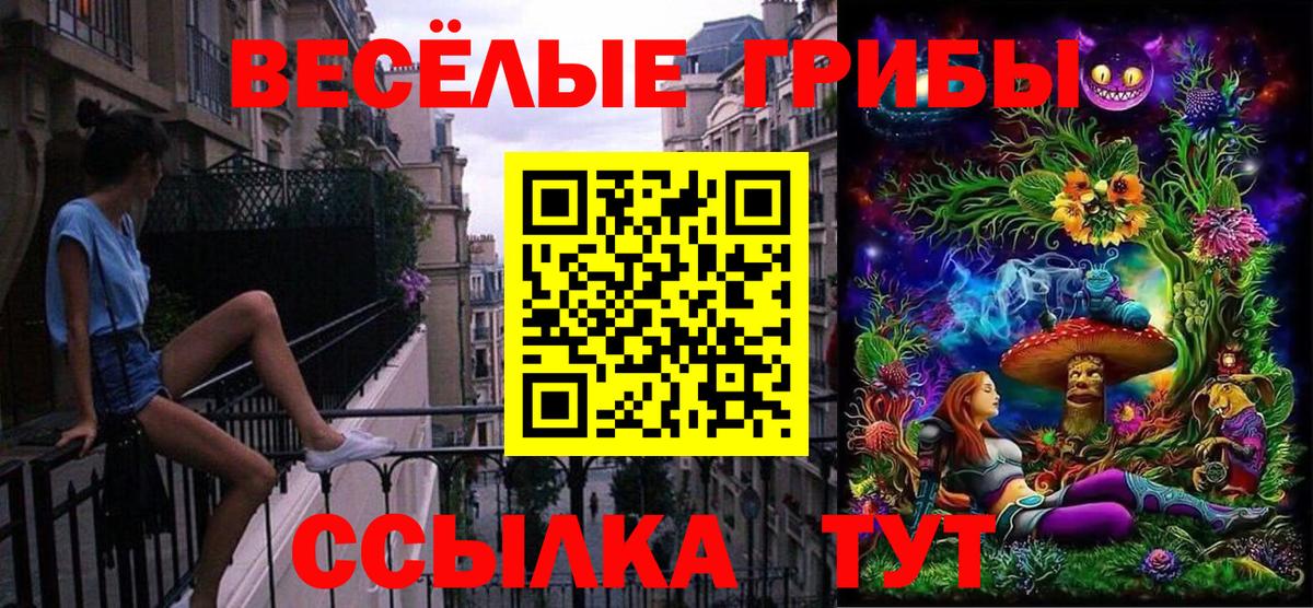 Псилоцибиновые грибы GOLDEN TEACHER Джанкой